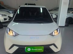 BYD Seagull Glory Edition 305km Vitality Version - ფოტო 3
