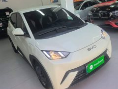 BYD Seagull Glory Edition 305km Vitality Version - ფოტო 4