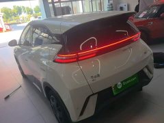 BYD Seagull Glory Edition 305km Vitality Version - ფოტო 5