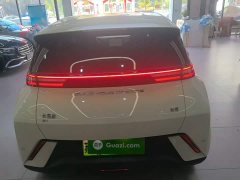 BYD Seagull Glory Edition 305km Vitality Version - ფოტო 6
