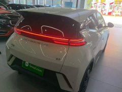 BYD Seagull Glory Edition 305km Vitality Version - ფოტო 7