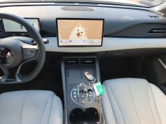 BYD Dolphin 06 DM-i Smart Drive 120KM Premium Edition - ფოტო 13