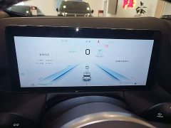 FAW Red Flag HS3 PHEV 117km Dynamic Edition - ფოტო 12