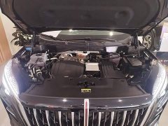 FAW Red Flag HS3 PHEV 117km Dynamic Edition - ფოტო 20