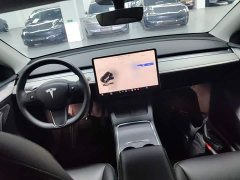 Tesla Model Y Long Range All-Wheel Drive - ფოტო 6
