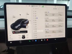Tesla Model Y Long Range All-Wheel Drive - ფოტო 8