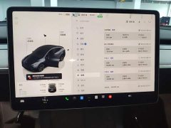 Tesla Model Y Long Range All-Wheel Drive - ფოტო 9