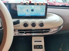 Wuling Binguo 333km Joy Edition - ფოტო 13