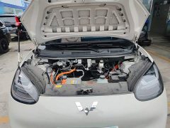 Wuling Binguo 333km Joy Edition - ფოტო 20