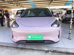 Geely Star Wish 310km Youth Edition - ფოტო 3