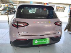 Geely Star Wish 310km Youth Edition - ფოტო 6