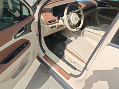 ORA Good Cat 401km Standard Range Deluxe LFP - ფოტო 16