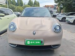 ORA Good Cat 401km Standard Range Deluxe LFP - ფოტო 3