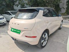 ORA Good Cat 401km Standard Range Deluxe LFP - ფოტო 7