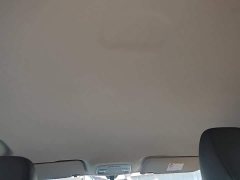 Geely Bingyue 1.5L CVT Super Capable - ფოტო 14