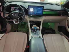 BYD Song Plus New Energy EV Premier - ფოტო 10