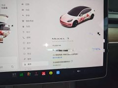 Tesla Model 3 Standard Range RWD Upgrade 3D6 - ფოტო 12