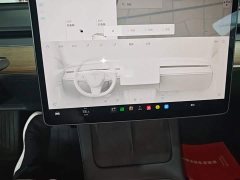 Tesla Model 3 Standard Range RWD Upgrade 3D6 - ფოტო 13