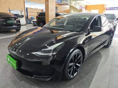 Tesla Model 3 Standard Range RWD Upgrade 3D6 - ფოტო 2