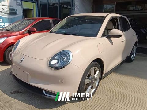 2023 ORA Good Cat 401km Standard Range Luxury LFP - ავტომობილი ჩინეთიდან