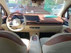 ORA Good Cat 401km Standard Range Luxury LFP - ფოტო 10