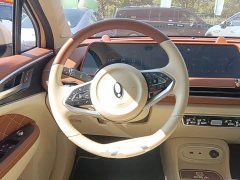 ORA Good Cat 401km Standard Range Luxury LFP - ფოტო 11