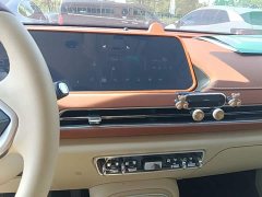 ORA Good Cat 401km Standard Range Luxury LFP - ფოტო 13