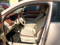 ORA Good Cat 401km Standard Range Luxury LFP - ფოტო 15