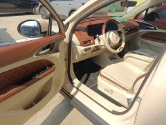 ORA Good Cat 401km Standard Range Luxury LFP - ფოტო 16
