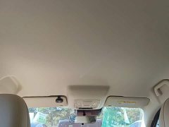 ORA Good Cat 401km Standard Range Luxury LFP - ფოტო 18