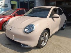 ORA Good Cat 401km Standard Range Luxury LFP - ფოტო 2