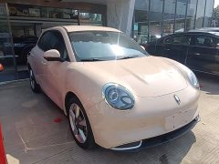 ORA Good Cat 401km Standard Range Luxury LFP - ფოტო 4