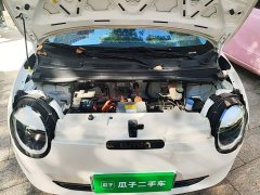 Changan Lumin 205km Xiangqin Edition - ფოტო 20