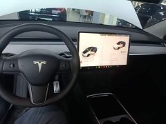 Tesla Model Y 2022 Performance All-Wheel Drive - ფოტო 10