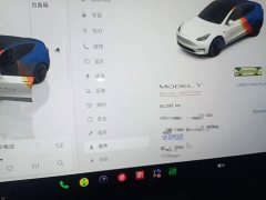 Tesla Model Y 2022 Performance All-Wheel Drive - ფოტო 12