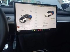 Tesla Model Y 2022 Performance All-Wheel Drive - ფოტო 13