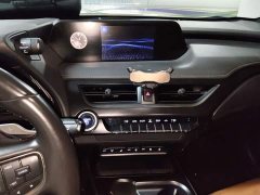 Lexus UX New Energy 2020 300e Pure Joy Edition - ფოტო 6