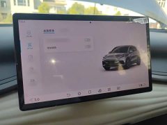 BYD Yuan Plus 2023 Champion Edition 430KM Leading - ფოტო 19