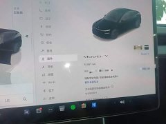 Tesla Model Y Rear-Wheel Drive - ფოტო 12
