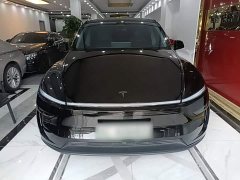 Tesla Model Y Rear-Wheel Drive - ფოტო 3