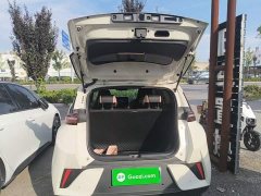 BYD Seagull Smart Driving Edition 305km Freedom Edition - ფოტო 19