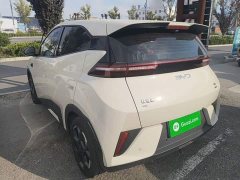 BYD Seagull Smart Driving Edition 305km Freedom Edition - ფოტო 5