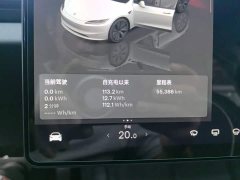 Tesla Model 3 2023 Rear-Wheel Drive - ფოტო 12