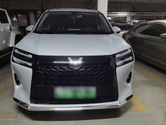 Wuling Starlight 730 New Energy PHEV 125km Luxury - ფოტო 7