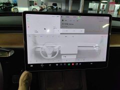 Tesla Model Y Standard Range RWD - ფოტო 13