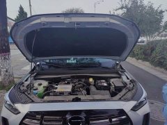 GAC Aion GS4 MAX 1.5T Pilot Edition - ფოტო 11