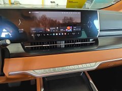 Great Wall WEY Shanshan New Energy 2023 Four-Wheel Drive Flagship Edition - ფოტო 10