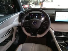 BYD Song Pro New Energy 2024 DM-i 71KM Glory Edition Pilot - ფოტო 11