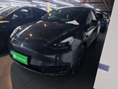 Tesla Model Y Rear-Wheel Drive - ფოტო 1
