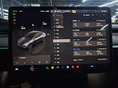 Tesla Model Y Rear-Wheel Drive - ფოტო 12